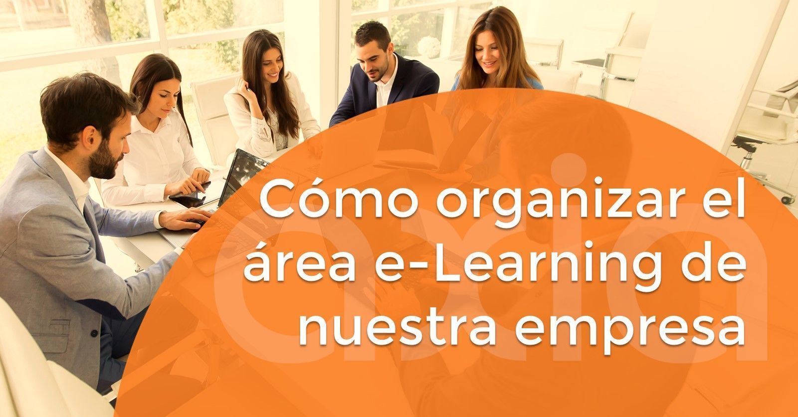 Cómo organizar el área e-Learning de nuestra empresa