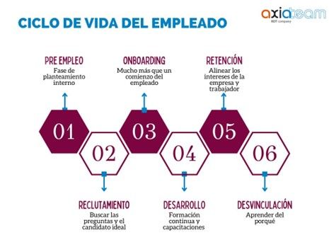 El ciclo de vida del empleado
